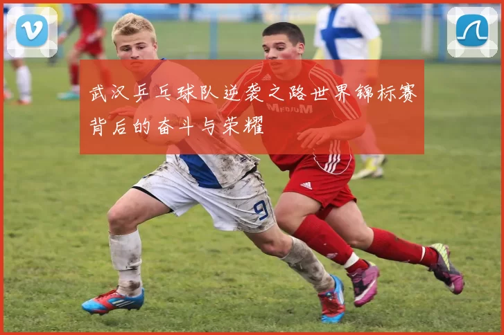 武汉乒乓球队逆袭之路世界锦标赛背后的奋斗与荣耀