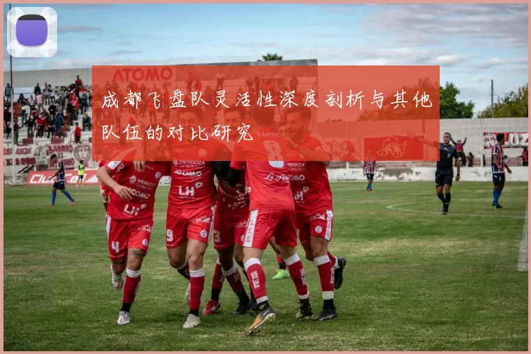 成都飞盘队灵活性深度剖析与其他队伍的对比研究