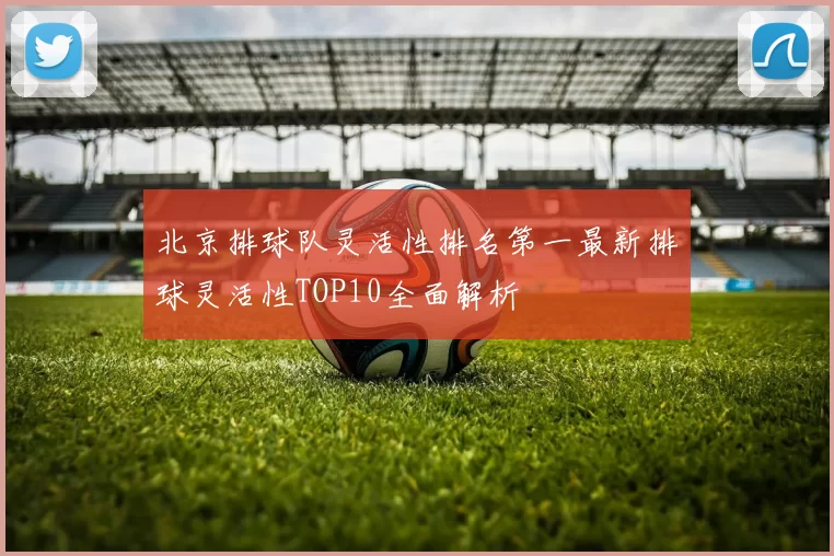 北京排球队灵活性排名第一最新排球灵活性TOP10全面解析