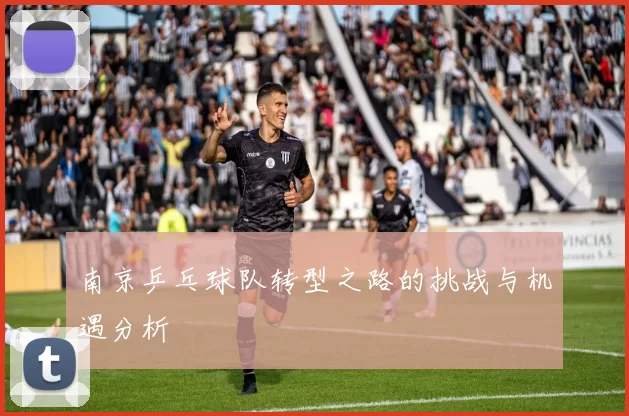 南京乒乓球队转型之路的挑战与机遇分析
