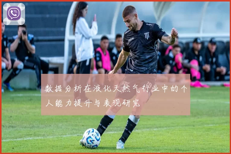 数据分析在液化天然气行业中的个人能力提升与表现研究