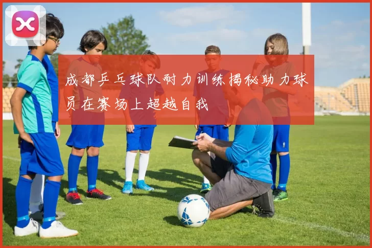 成都乒乓球队耐力训练揭秘助力球员在赛场上超越自我