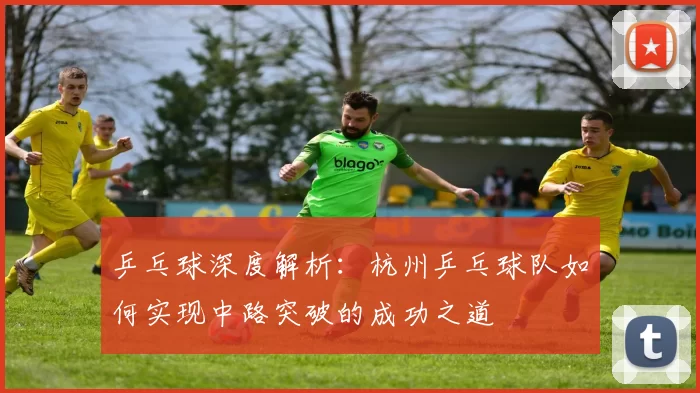 乒乓球深度解析：杭州乒乓球队如何实现中路突破的成功之道