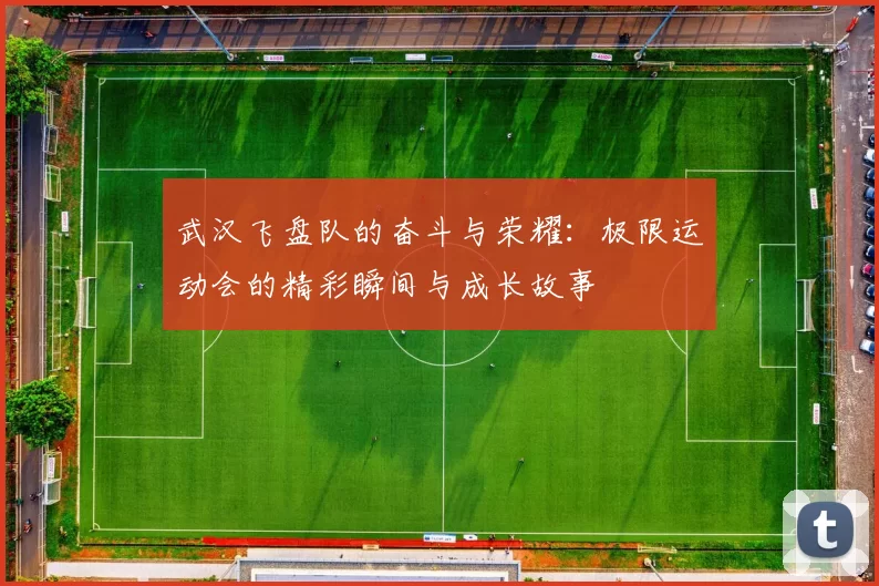 武汉飞盘队的奋斗与荣耀：极限运动会的精彩瞬间与成长故事