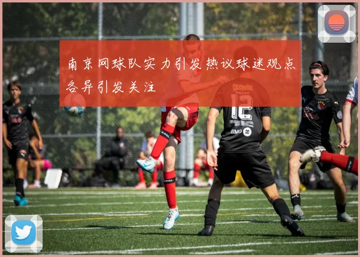 南京网球队实力引发热议球迷观点各异引发关注