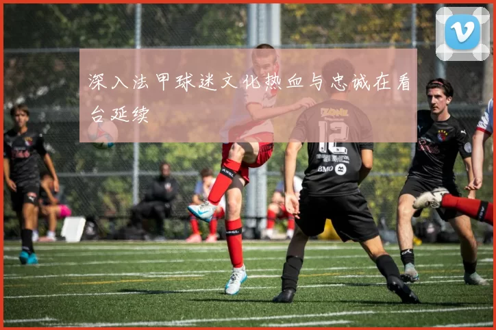 深入法甲球迷文化热血与忠诚在看台延续