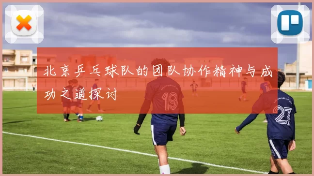 北京乒乓球队的团队协作精神与成功之道探讨
