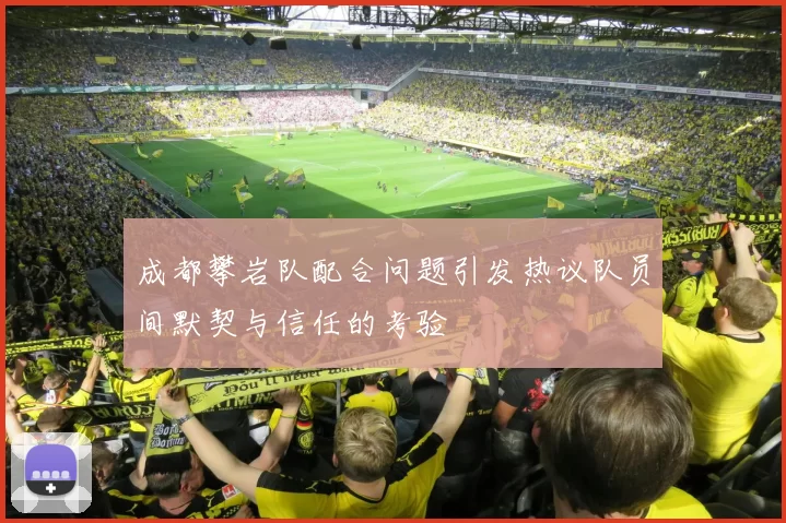 成都攀岩队配合问题引发热议队员间默契与信任的考验