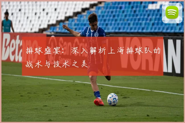 排球盛宴：深入解析上海排球队的战术与技术之美