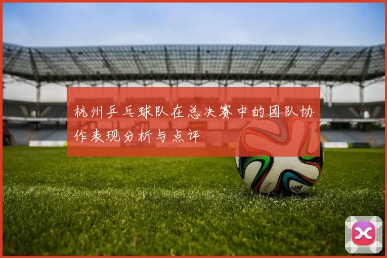 杭州乒乓球队在总决赛中的团队协作表现分析与点评