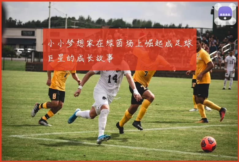 小小梦想家在绿茵场上崛起成足球巨星的成长故事