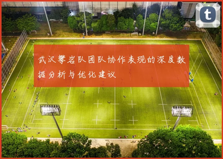 武汉攀岩队团队协作表现的深度数据分析与优化建议