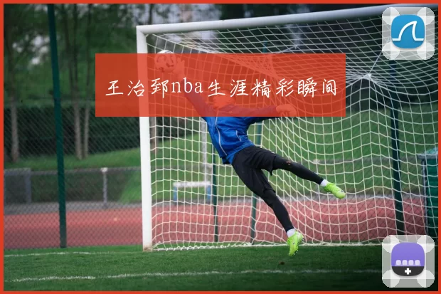 王治郅nba生涯精彩瞬间